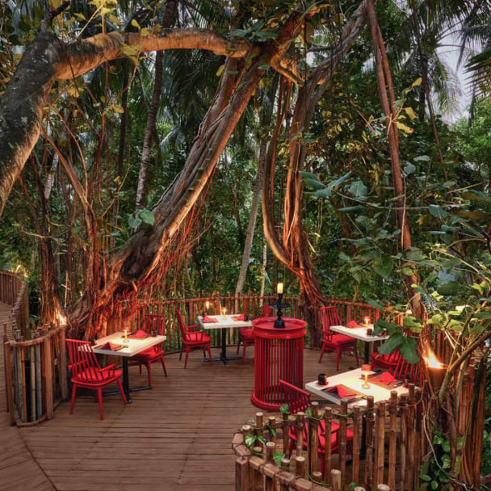 NIYAMA THE NEST